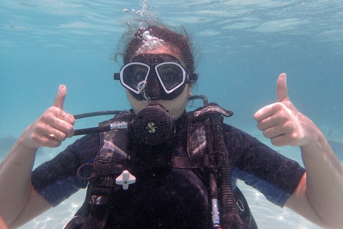 2 Days Diving Trip to Koh Tao Including 4 Dives and Accommodation - From Pier to Scuba Birds Boat: Gear-Up Time Done Right
