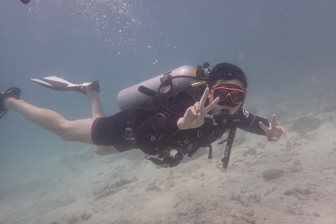 2 Days Diving Trip to Koh Tao Including 4 Dives and Accommodation - Overnight on Koh Tao Near Mae Haad: Sleep Close to the Action
