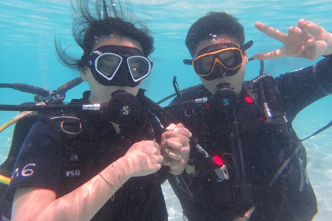 2 Days Diving Trip to Koh Tao Including 4 Dives and Accommodation - Getting Through the Schedule: Timing, Group Size, and Expectation Management