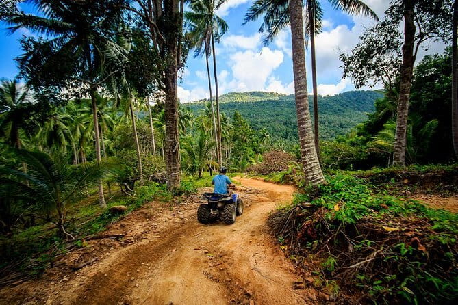 2 Hour ATV Jungle Tour In Koh Samui - Pickup and the ATV setup: who drives, who rides