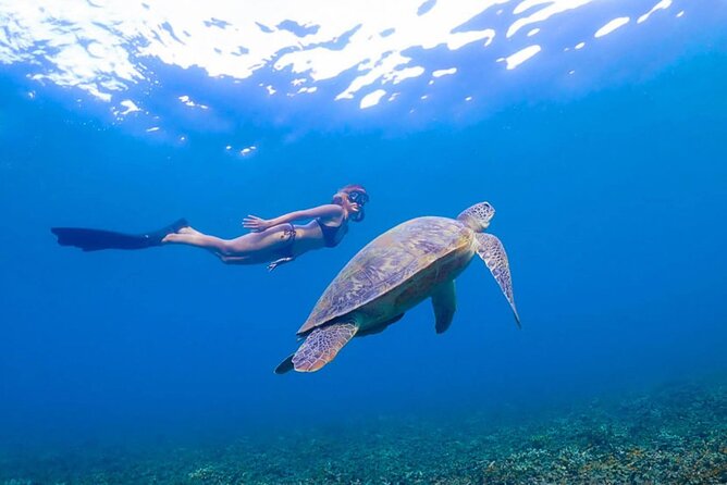 5 Islands Full-Day Tour Around Koh Tao and Koh Nangyuan - Group Size and Sea Conditions: The Two Things That Can Change Your Day