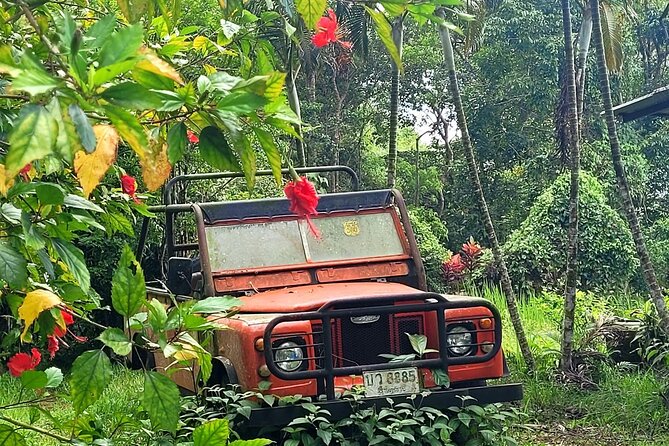6 Hours Off-Road 4x4 Hidden Gem Adventure 1 - 8 People - A 6-hour private 4x4 day through Koh Samui’s rugged interior