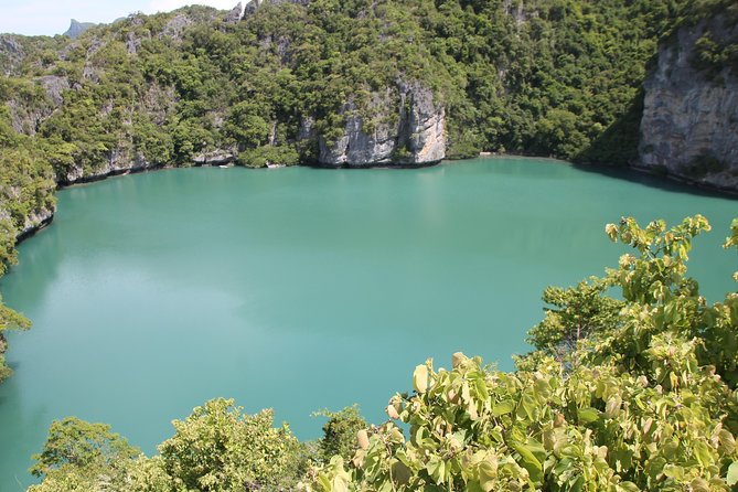 Amazing Ang Thong Marine Park Day Trip by Boat from Koh Samui - Who should book this Ang Thong speedboat day trip