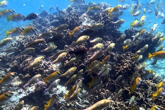 Ang Thong National Marine Park Full Day Tour - Ang Thong National Marine Park: 42 Islands in One Pristine Day