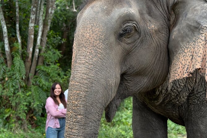 Army Jeep Jungle Safari and Elephant Freedom Rescue Centre Tour - Key Points to Know Before You Go