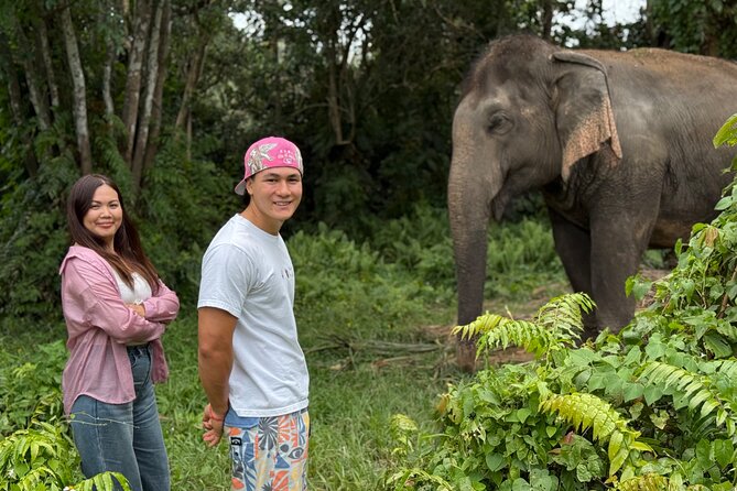 Army Jeep Jungle Safari and Elephant Freedom Rescue Centre Tour - Riding the Ex-Army Jeep: The Day’s Main Character