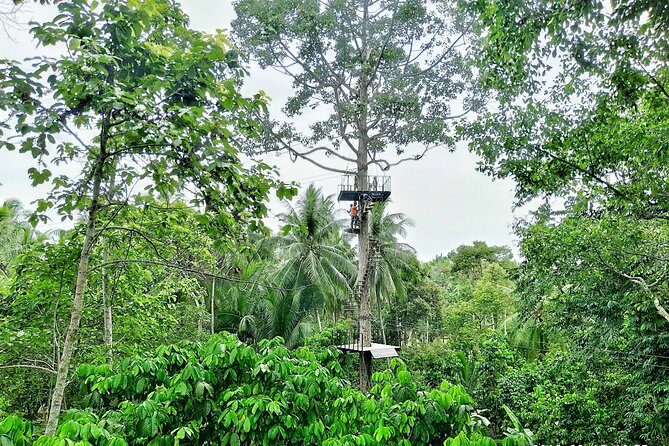 ATV And Zipline Experience on Koh Samui with Transfer - Getting there smoothly: hotel pickup and a mobile ticket