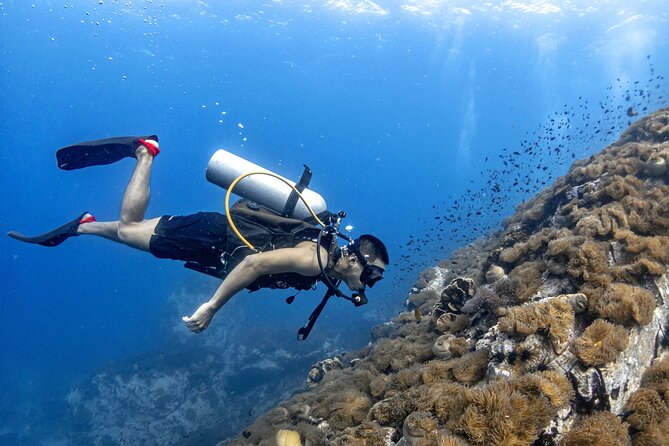 Basic Diver ( One Day Experience) - Key highlights at a glance