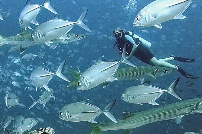 Become certified diver in 3 days - PADI Open Water Diver course on Koh Tao - Equipment, Gear Confidence, and What You Bring Home