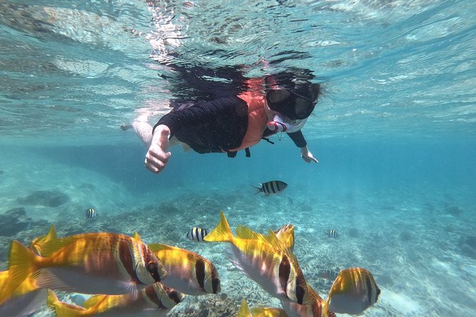Beyond Angthong 42 Islands Premium Service Trip By Speedboat From Koh Samui - Key highlights you’ll feel right away