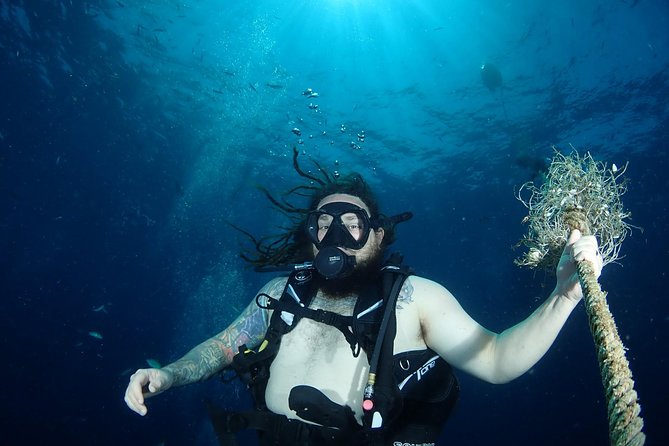 Chumphon Pinnacle-Koh Tao 2 dive trip for certified divers - The Real Reason This Trip Works: Two Stops, One Day