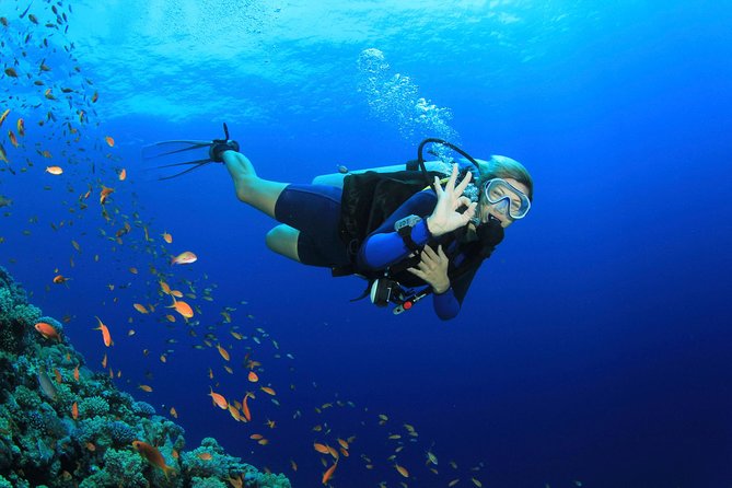 Discover Scuba diving with 2 dives on Koh Tao - Key highlights that make this intro scuba day work