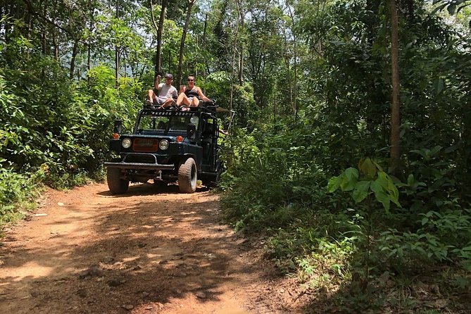 Eco Jungle Safari Tour around Koh Samui Including Lunch - The eco angle: what this tour does well and where the eco label gets complicated
