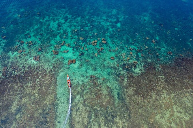 From Samui: Ko Tao and Koh Nang Yuan Speedboat Day Trip - Who should book this speedboat day trip (and who should skip it)