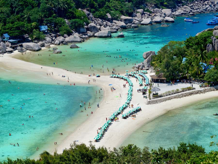 From Samui: Koh Tao and Nangyuan Snorkeling Tour Day Trip - Equipment, Crew, and Guide Support: The Stuff That Makes Snorkeling Feel Easier