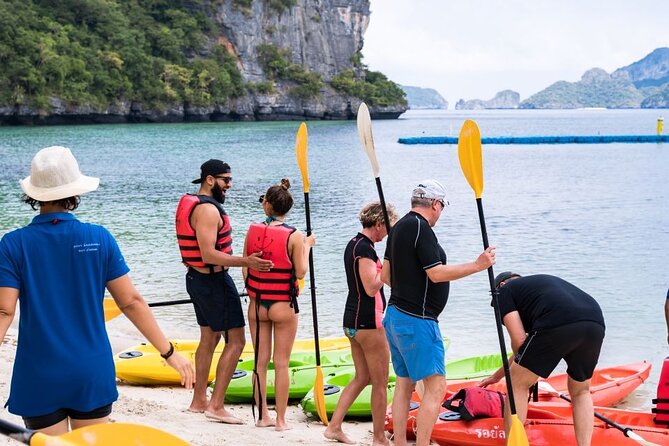 Full Day Ang Thong Islands Luxury Small Group Tour - Marine Life Reality Check (And What You Can Do)
