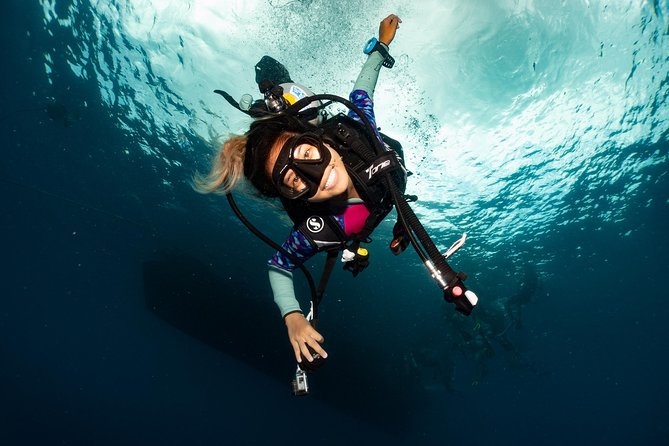 Fun Diving Packages (Certified Divers) - The real value: less planning, more water time in Koh Tao
