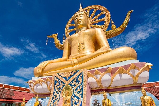 Half Day Highlights Koh Samui Tour - Lad Koh Viewpoint and Hin Ta Hin Yai: Two Photo Stops, Two Different Moods