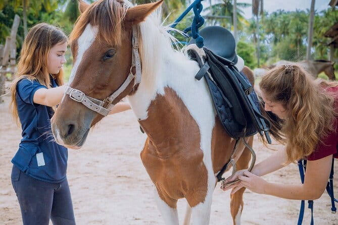 Horse Riding and Beach Trails on Koh Samui - Where You Meet on Koh Samui (and what “check-in” really means)