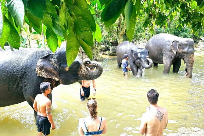 Horse Riding and Beach Trails on Koh Samui - Price and value: what $81.38 covers (and what doesn’t)