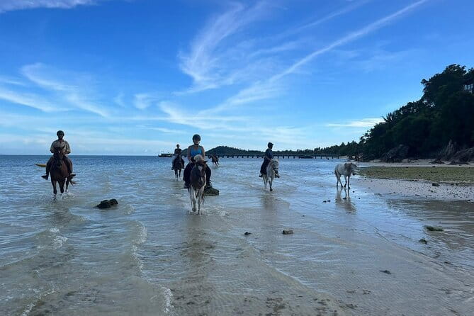 Horse Riding and Beach Trails on Koh Samui - Group size rules: why the small number matters