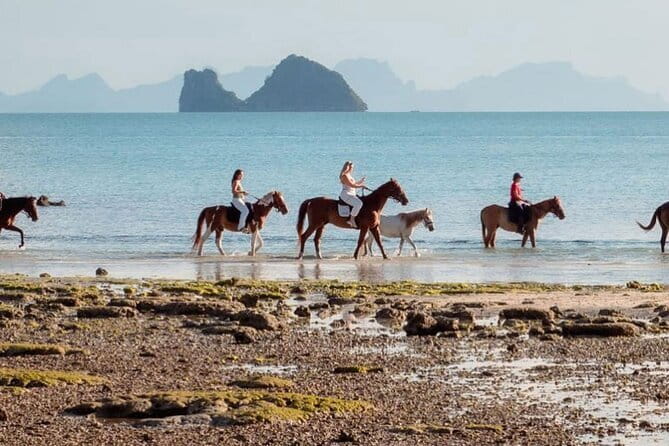 Horse Riding and Beach Trails on Koh Samui - Calm horses and safety you can feel