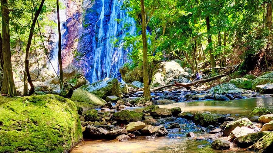 ISLAND TOUR ECO AROUND KOH SAMUI HALF DAY RARE SIGHTSEEING - Na Muang Waterfall 1: the swimming pool and the elephant question
