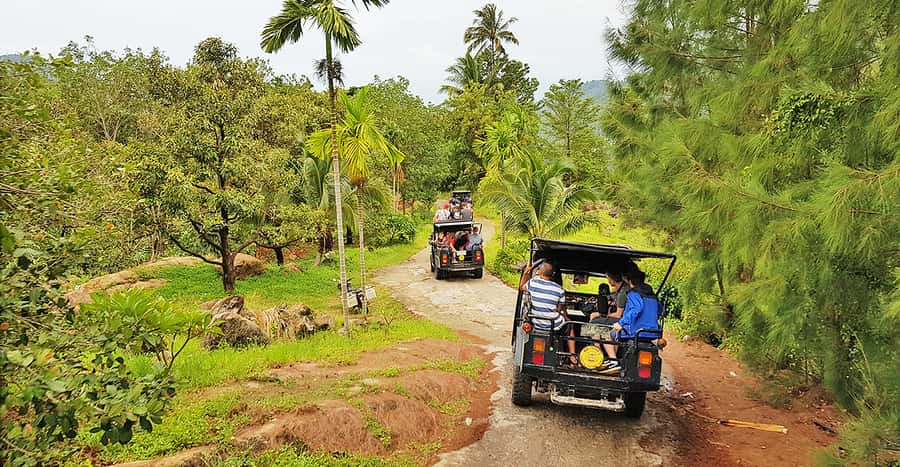 Jeep Tour Koh Samui Jungle Safari Full Day Adventure - Hin Ta & Hin Yai Rocks: The South’s Famous Photo-Stop