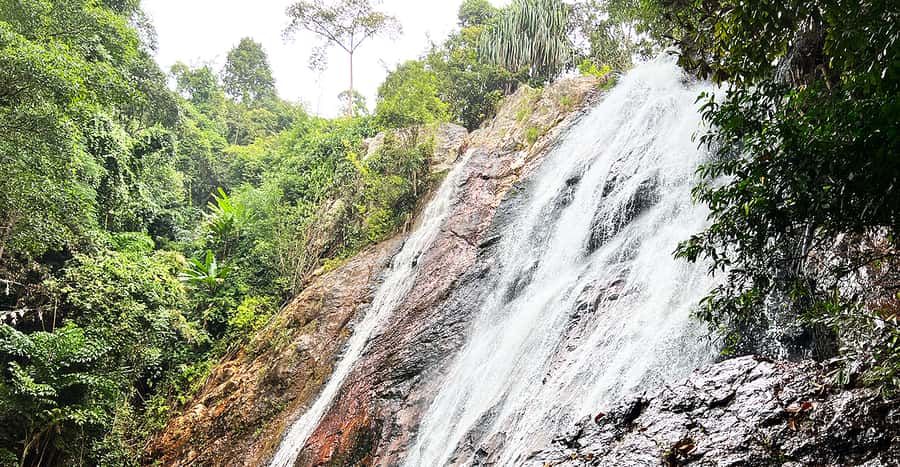 Jeep Tour Koh Samui Jungle Safari Full Day Adventure - Wat Khunaram and the Mummified Monk Luong Pordaeng