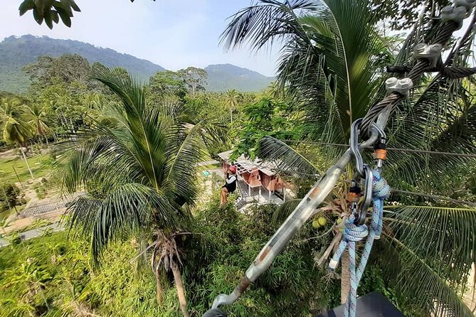 Jungle Xtreme Zipline 16 Platforms Tour From Koh Samui - The biggest “gotcha”: setting expectations about the jungle