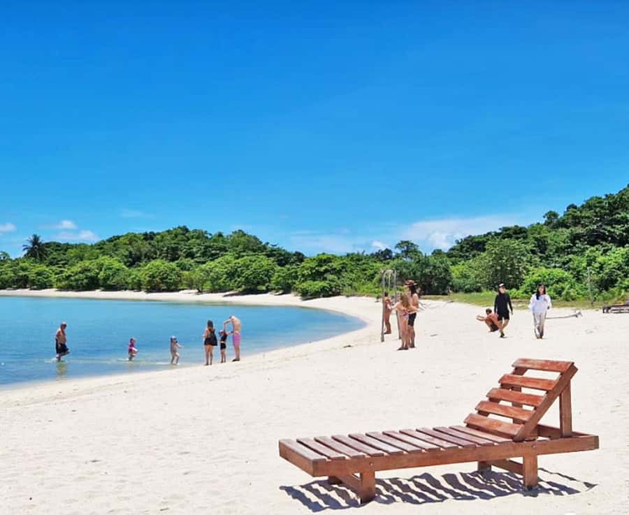 Ko Samui: Pig Island Snorkeling and Koh Tan Speedboat Tour - Koh Tan snorkeling: what you’re really aiming to see