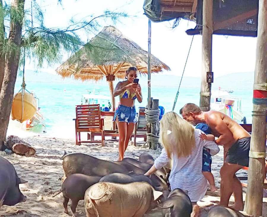 Ko Samui: Pig Island Snorkeling and Koh Tan Speedboat Tour - Koh Mudsum (Pig Island): woolly pigs, kayaking, and beach time with no infrastructure