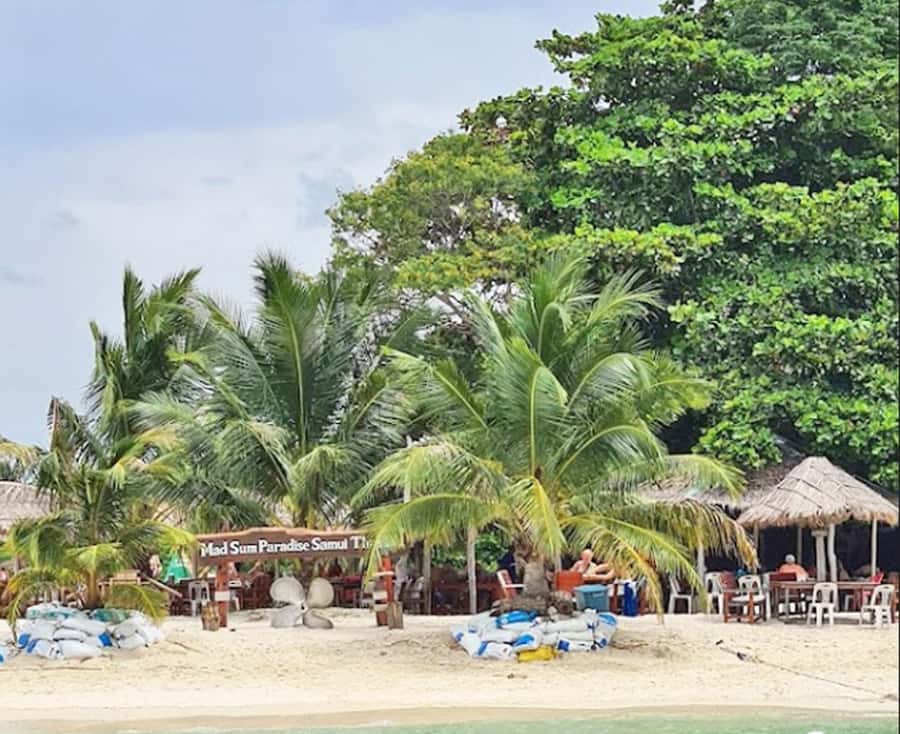 Ko Samui: Pig Island Snorkeling and Koh Tan Speedboat Tour - The beach meal: Thai lunch (and why it’s more than just fuel)