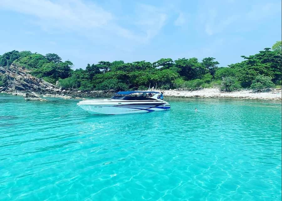 Ko Samui: Pig Island Snorkeling and Koh Tan Speedboat Tour - Price and value: $51, plus one fee you should expect
