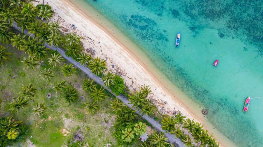 Ko Samui: Private Longtail Boat Tour to Koh Madsum & Koh Tan - Koh Madsum (Pig Island) for About 2 Hours: Beaches and Friendly Faces