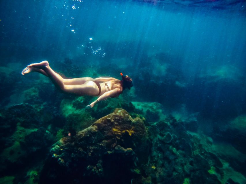 Ko Tao: Late Riser Snorkeling Tour with Lunch and Photos - Shark Bay: The Swim With Turtles and Blacktip Reef Sharks