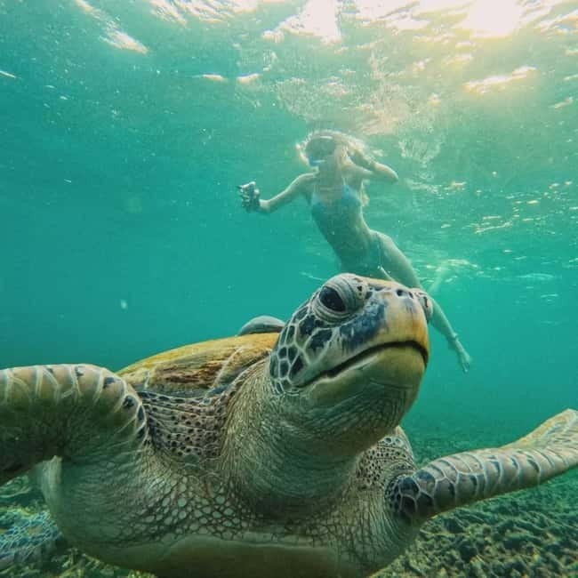Ko Tao: Tao-Nangyuan Snorkeling Day Trip with Meals & Sunset - Meals on board: buffet lunch, fruit snacks, and drinks that keep you going