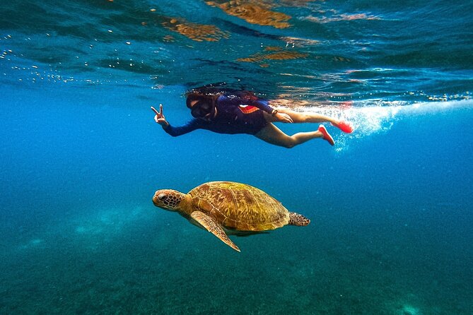 Koh Nang Yuan and Koh Tao 5 Point Snorkeling Tour - Key Highlights You’ll Actually Feel on the Water
