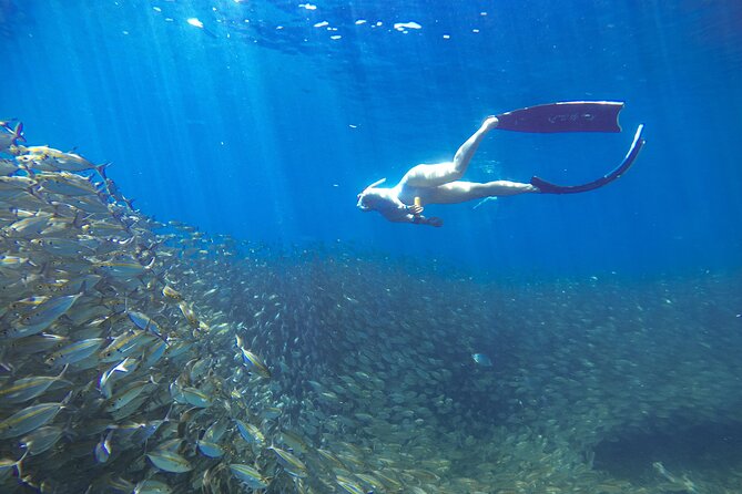 Koh Nang Yuan and Koh Tao 5 Point Snorkeling Tour - Who This Tour Fits Best (and Who Should Skip It)