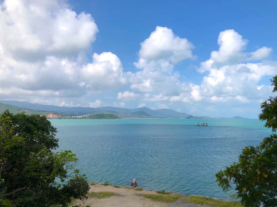 Koh Samui: 4x4 Off Road Island Safari Tour Including Lunch - The Magic Secret Garden: Stone Statues and a Slower Stroll