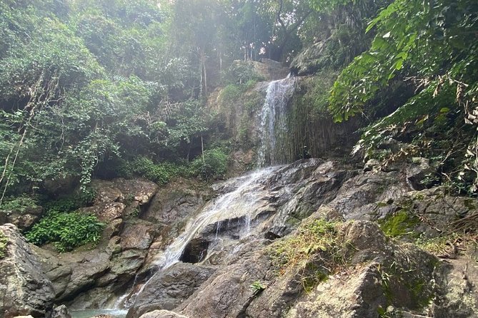 Koh Samui ATV Safari 2 Hours Tour (Jungle Ride, Mountain Viewpoint, Waterfall) - Tree Bridge Coffee Stop and the Route Down: Fuel for the Second Half