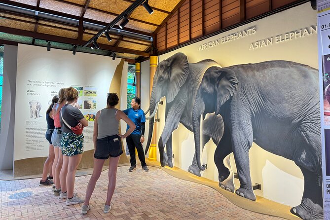 Koh Samui Elephant Home Sanctuary and the first Elephant Museum - Stop 2: the first-ever Elephant Museum on Samui and what you actually learn