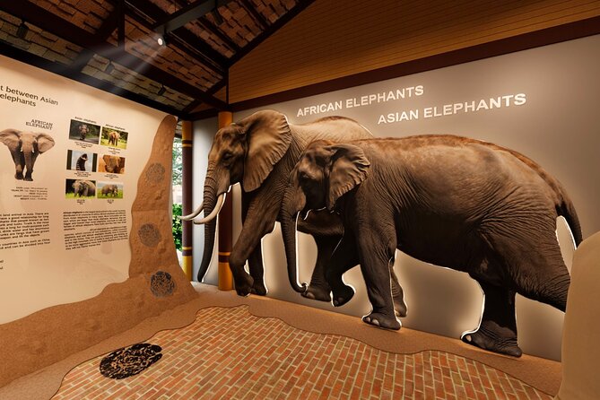 Koh Samui Elephant Home Sanctuary and the first Elephant Museum - Who should book this Koh Samui elephant tour (and who might skip it)