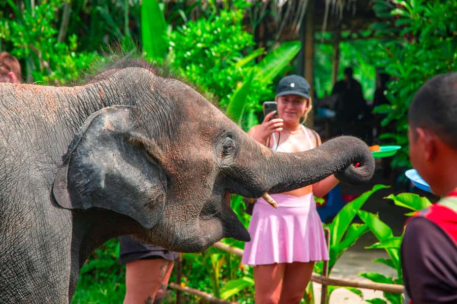 Koh Samui: Elephant Sanctuary and Jungle Tour with Lunch - Stop 1: Namuang Waterfall Break and the Monsoon Swimming Check