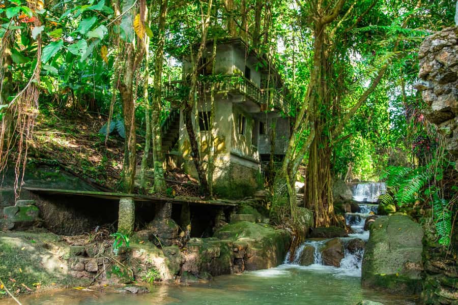 Koh Samui: Elephant Sanctuary and Jungle Tour with Lunch - How the Timing Feels (Not Rushed, But It Moves)