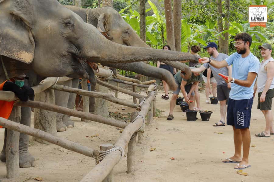 Koh Samui: Elephant Sanctuary Entry and Feeding Experience - Koh Samui Elephant Sanctuary Feeding: What Makes It Different