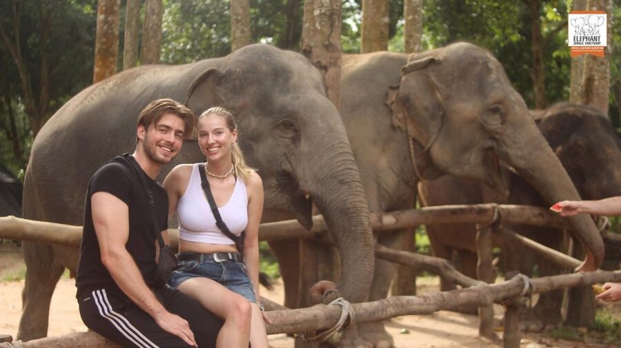 Koh Samui: Elephant Sanctuary Entry and Feeding Experience - Practical Stuff: Timing, Getting There, and What to Bring
