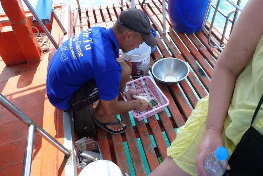 Koh Samui: Fishing Day Tour by Escort Boat with Mr. Tu - Fishing in the Gulf: What You’ll Actually Catch