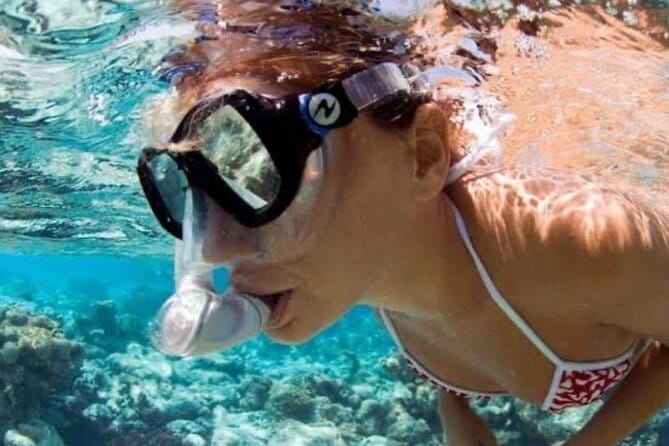 Koh Samui Fishing Tour Mr Ung's - Koh Taen Reef Snorkeling: Great When Conditions Cooperate