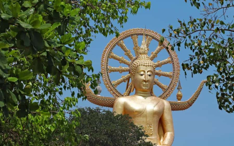 Koh Samui: Half-Day Highlights Tour with Hotel Transfers - Pickup, Transport, and the Pace You Should Expect